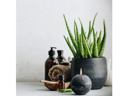 0eec24d465536ad46e3369e6ebd62e96