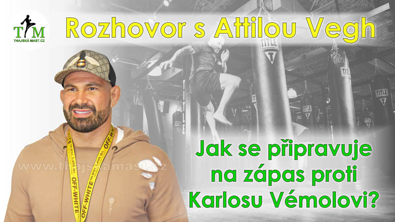 Rozhovor s Attilou Vegh před zápasem s Karlosem Vémolou