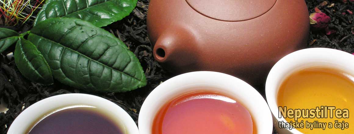 thai-herbs-02