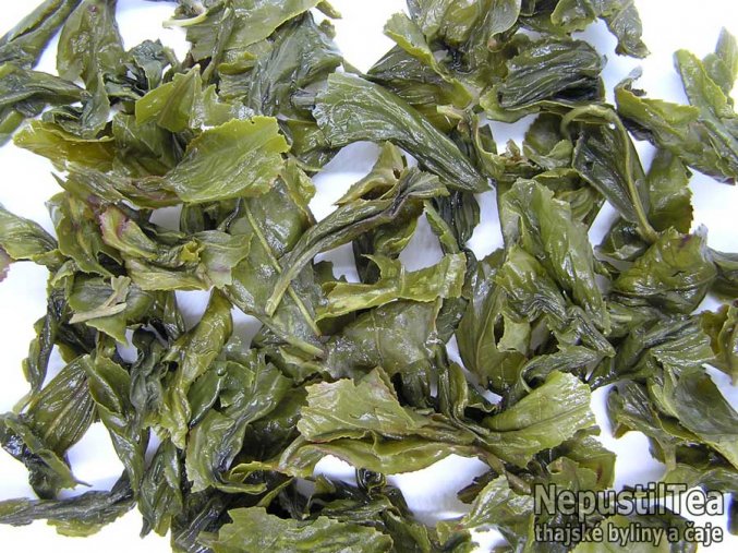Thai Green Oolong Tea - Organic Thailand
