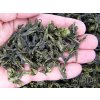 Thai Green Oolong Tea - Organic Thailand