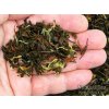 P1010200 NepustilTea.cz Thai Sky Black Tea a 3