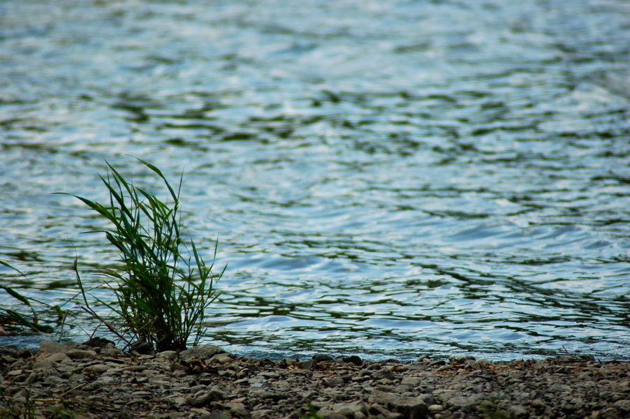 Jak na spokojenější život?