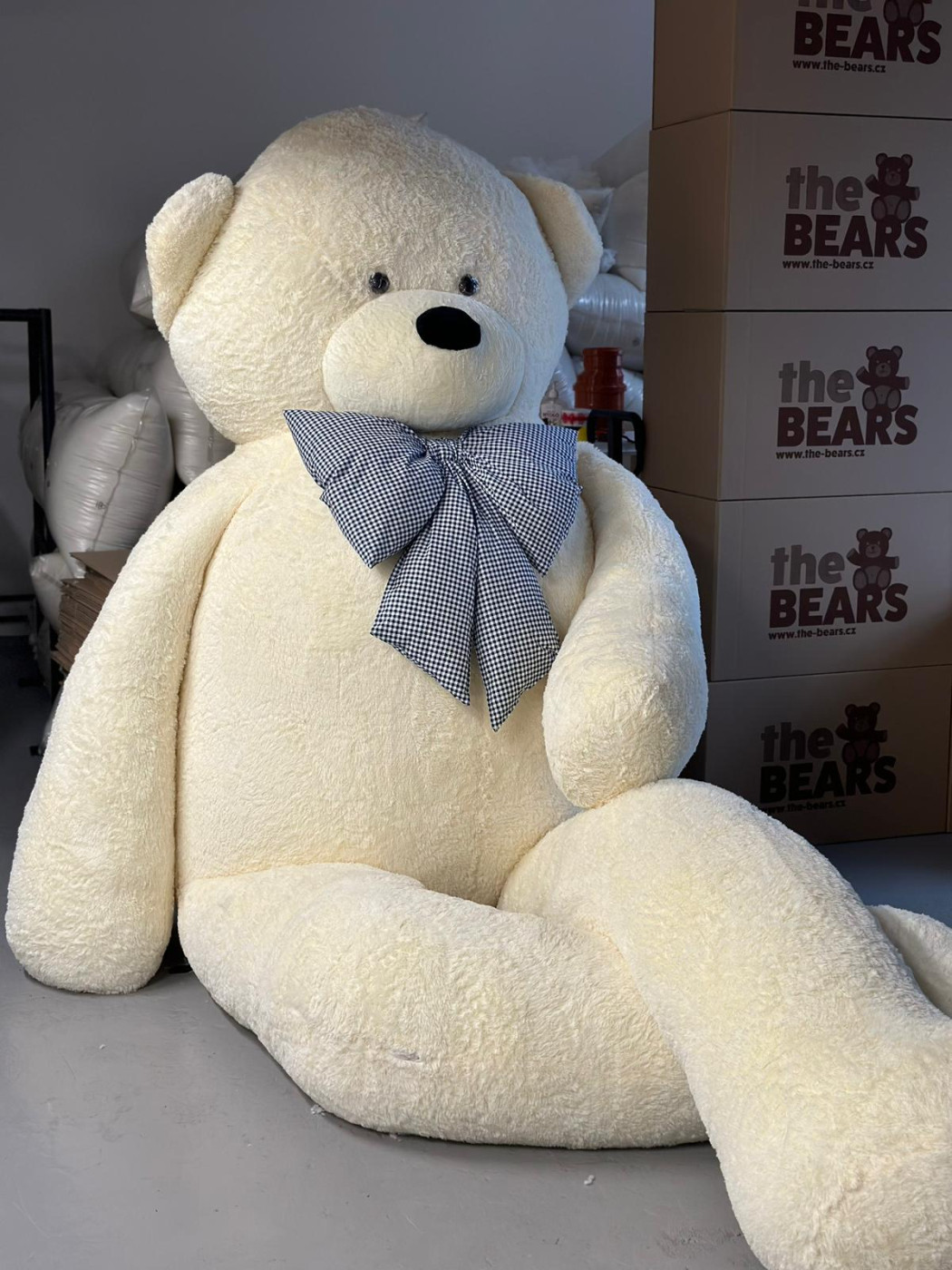 Rozhovor přímo z naší dílny pro rádio Region