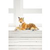 Plush Tiger 155 cm