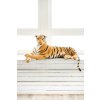 Plush Tiger 210 cm