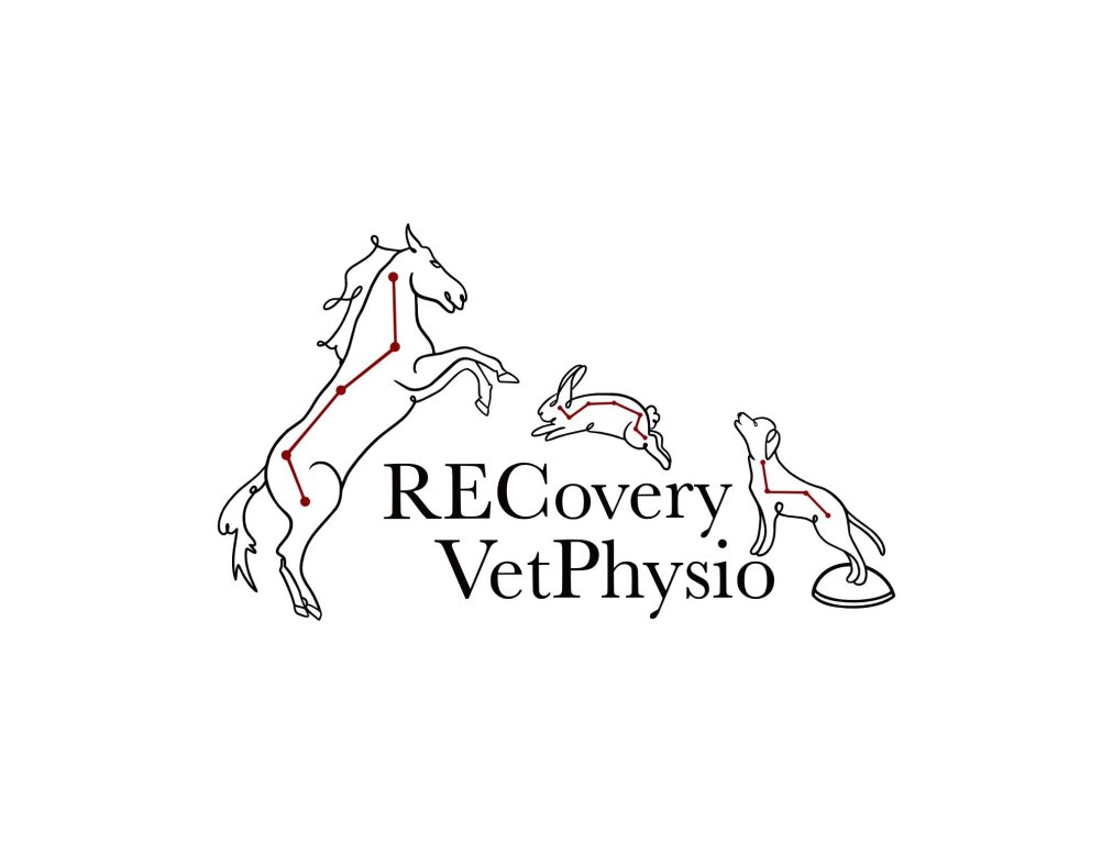 Recovery Vet Physio