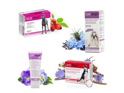 Skin BOX plus