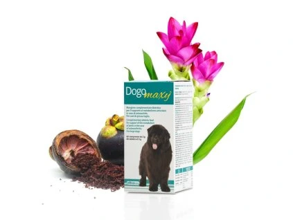 DOGOmaxy