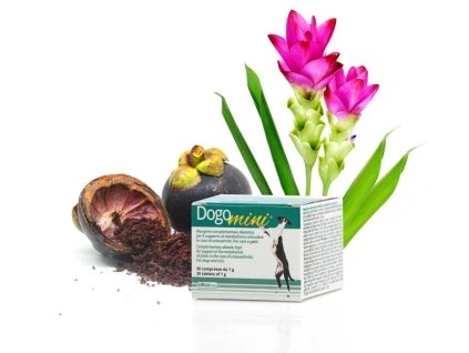 DOGOmini