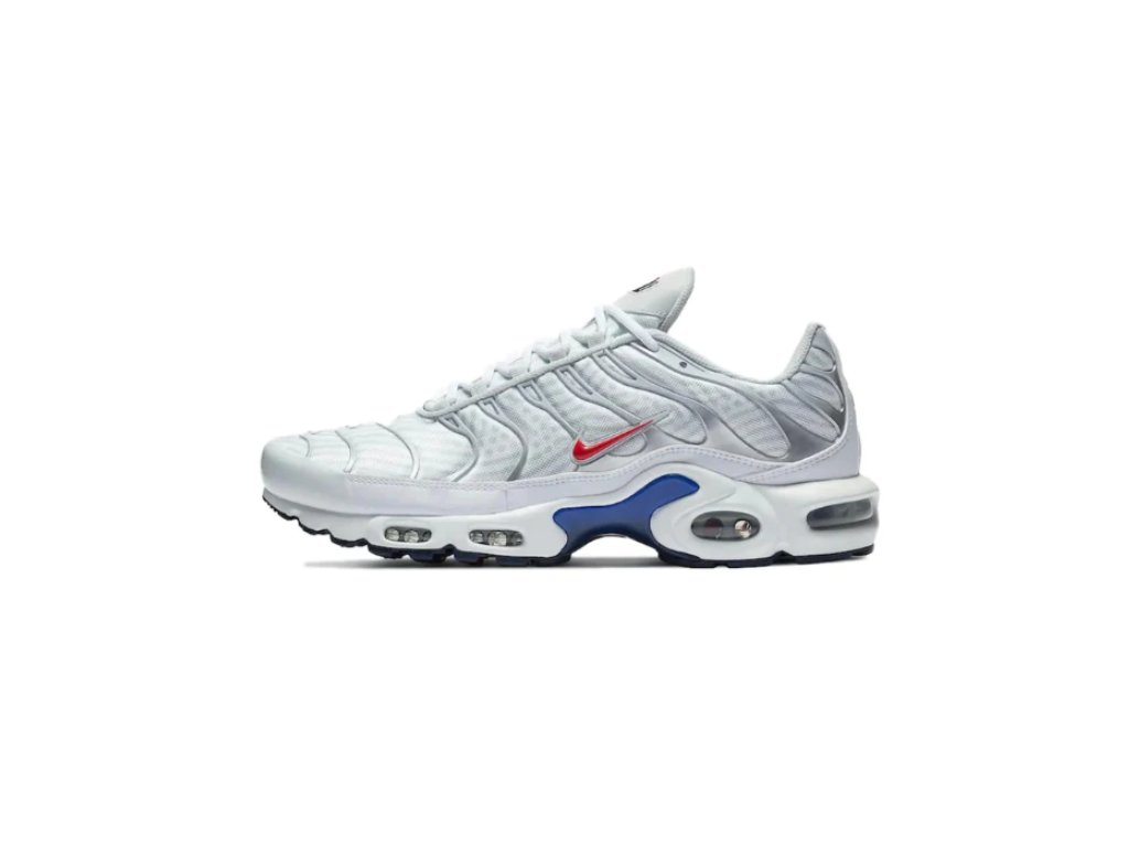 Nike Air Max Plus Euro Tour THE BEAST