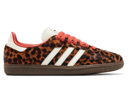 Snímek obrazovky 2026 01 13 v 18.17.34