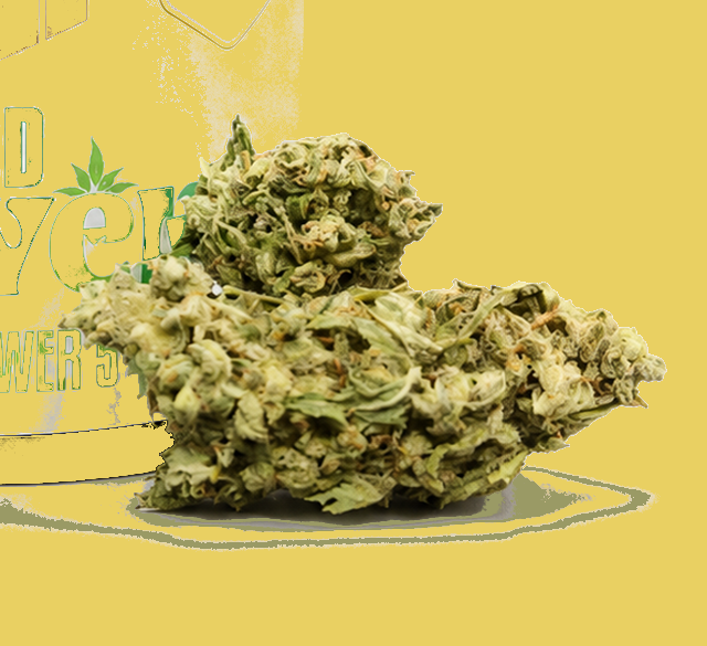 AUTOPOWER CBD