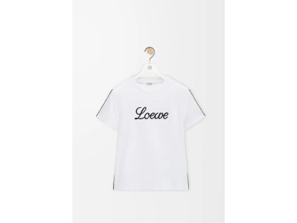 Snímek obrazovky 2026 01 29 191103