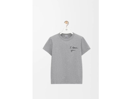 Snímek obrazovky 2026 01 29 194819