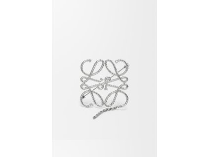 Snímek obrazovky 2026 01 29 195343