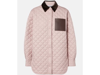 Snímek obrazovky 2026 01 29 203627