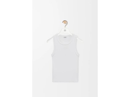 Snímek obrazovky 2026 01 30 142542