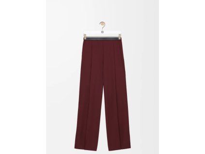 Snímek obrazovky 2026 01 30 150036