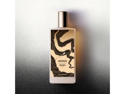 Snímek obrazovky 2026 02 25 153618