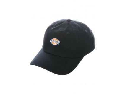 dickies caps hardwick black vorderansicht 0566533 600x600