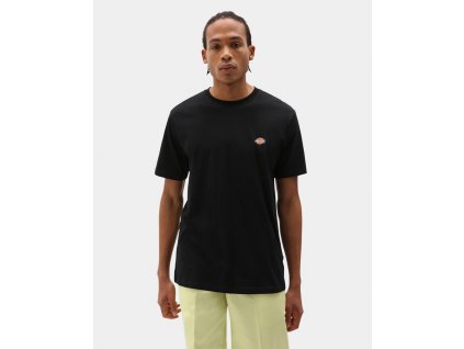 DICKIES MAPLETON TEE BLACK