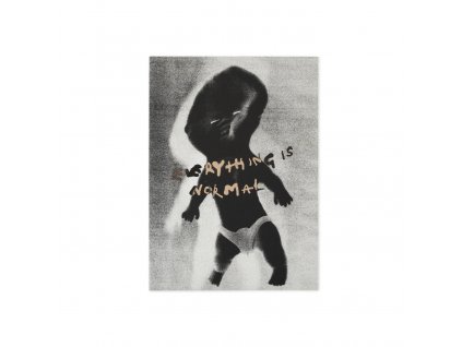 BOOK | EVERYTHING IS NORMAL