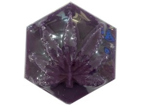 ganj pom 1024x1024@2x