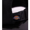 dickies west vale cap black (2)