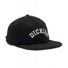 dickies west vale cap black