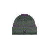 Polar Skate Co W25 George Beanie Purple Green 1