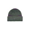 Polar Skate Co W25 George Beanie Purple Green 2.png