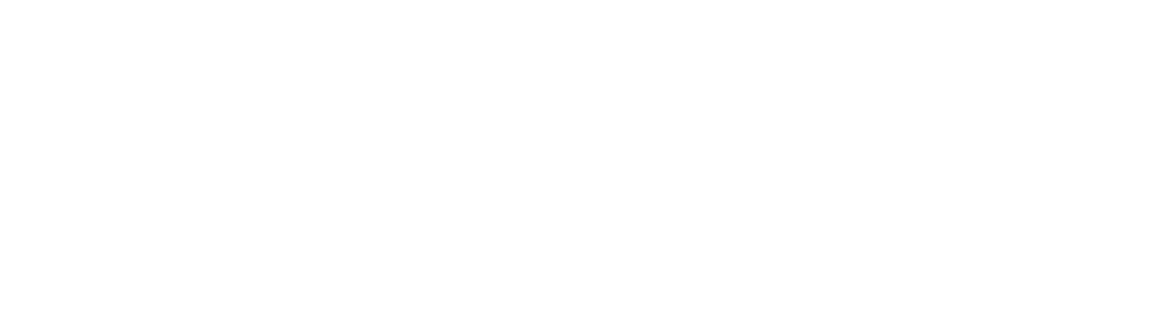 The cyclist