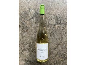 Grüner Veltliner Spitzer Steinfeder 2025, Schneeweis