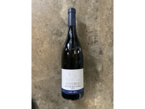 Pinot nero 2019, Muri-Gries