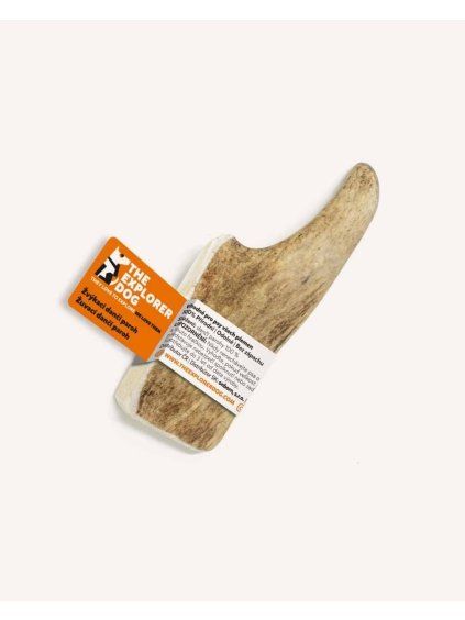 210 841 1 danci paroh s web