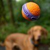 Míček pro psy AirBall Dent 6 cm Explorer Dog – všechny barvy – pohled 3