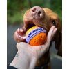 Míček pro psy AirBall Dent 6 cm Explorer Dog