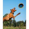 Létající disk pro psy AirDisc 24 cm Explorer Dog – pohled 2