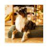 Ortopedický pelíšek pro psa Cloud M Mocha Brown Explorer Dog – pes odpočívá v pelíšku