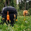 Zásobník na sáčky na psí exkrementy Explorer Dog – venčení se sáčky