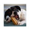 Himalájský sýrový pamlsek pro psy Explorer Dog – pes se žvýkacím pamlskem