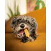Himalájský sýrový pamlsek pro psy Explorer Dog – pohled 2