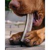 Žvýkací jelení paroh pro psy měkký Explorer Dog – pohled 2