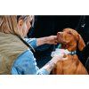 Přírodní vlhčené ubrousky pro psy 40 ks Explorer Dog – pohled 6
