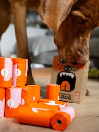 Jak využít prázdnou krabičku od pytlíků? Naplňte ji oblíbenými pamlsky a o zábavu máte postaráno 🫶🏻 #tojepsizivot...