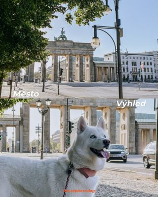 Jaký je váš oblíbený výhled? Máte to stejně jak my?🤭 . . . . #dog #husky #whitehusky #explorerdog #berlin