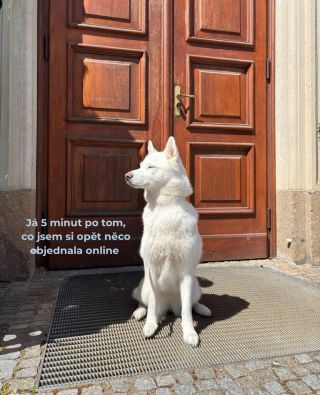 Netrpělivé vyčkávání… Máte to stejně jak my?