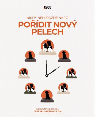 The Time Is NOW! Jaká je vaše oblíbená barva našich Cloud pelechů? Hlasovat můžete v anketě⬇️