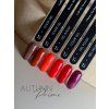 AUTUMN PRIME COLLECTION